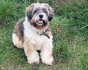 Archie Parkin
