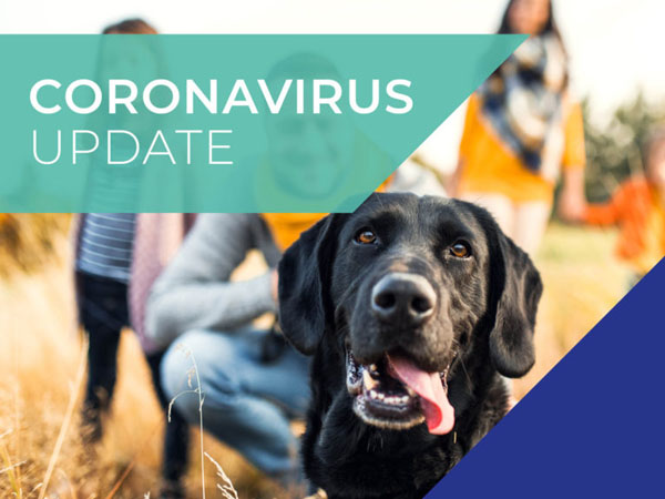 Latest Coronavirus Update