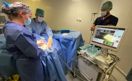Intraoperative Electrochemotherapy