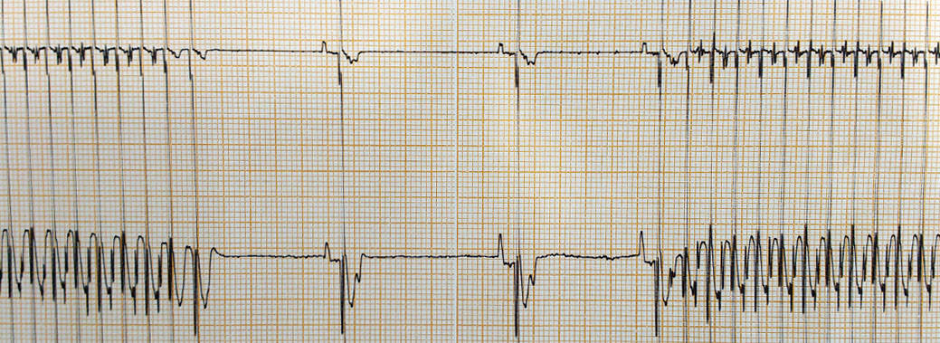 specialist services - cardiology