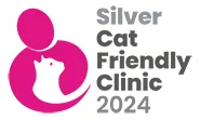 logo cfc silver 2024