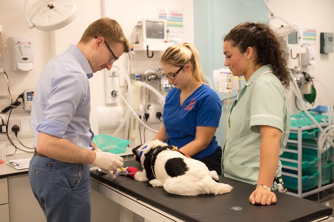 Five Reasons to choose Wear for Soft Tissue Surgery