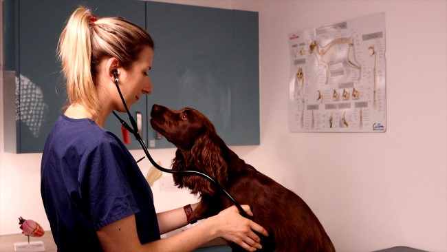 How Referring to Wear benefits You and Your Clients