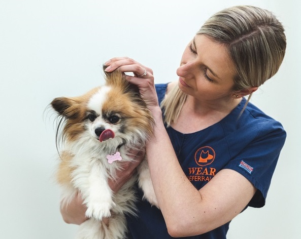 Wear Appoints Chiara Giannasi as Head of Internal Medicine