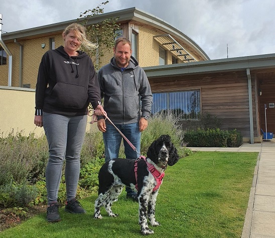 Lily the Springer Spaniel with Immune-Mediated Liver Disease, Now in Complete Remission Thanks to our Specialist Internal Medicine Team