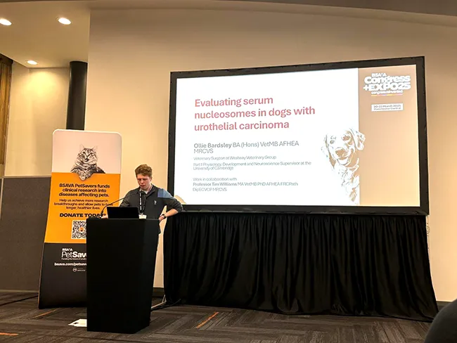 ollie-bardsley-presentation